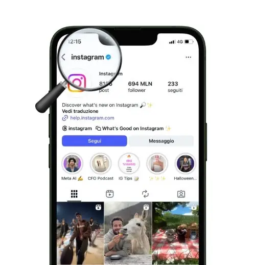 Mock up instagram account che mostra lo username di un profilo Instagram.